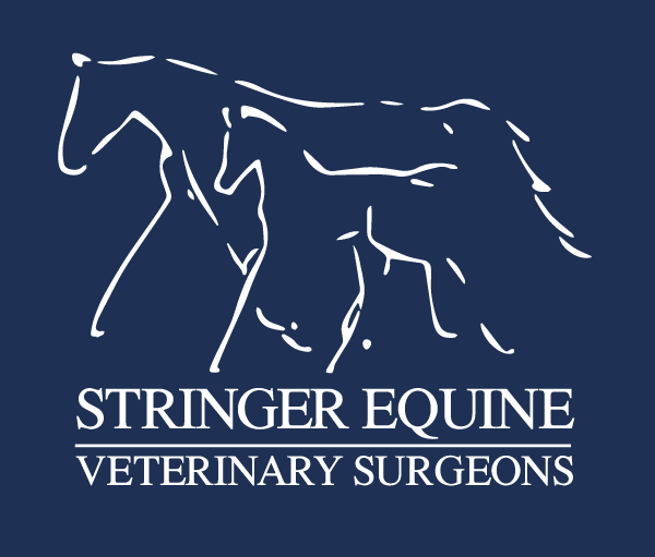 Stringer Equine Vets